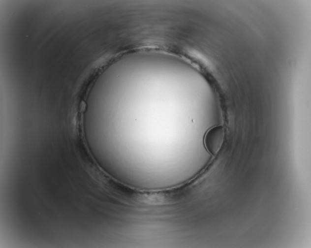 X0000089741403200707051748