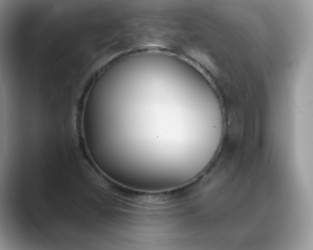 X0000089741404200707051748