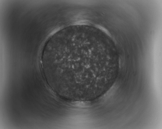 X0000089741405200707051748