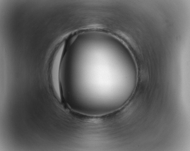 X0000089741406200707051748