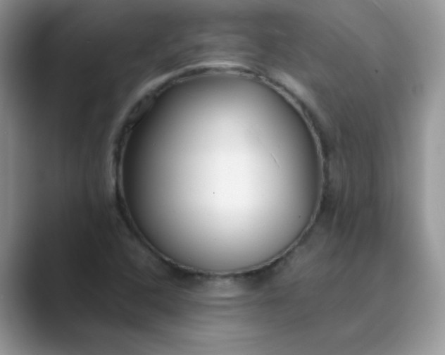 X0000089741408200707051748