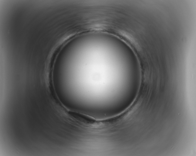 X0000089741410200707051748