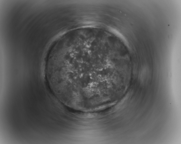 X0000089741411200707051748