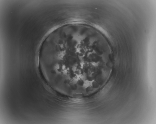 X0000089741413200707051748