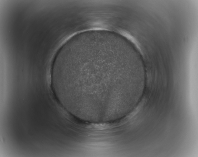 X0000089741415200707051748