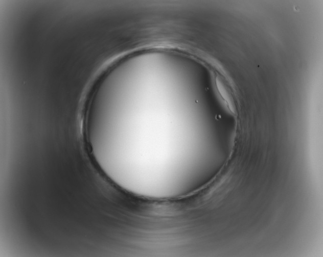 X0000089741416200707051748