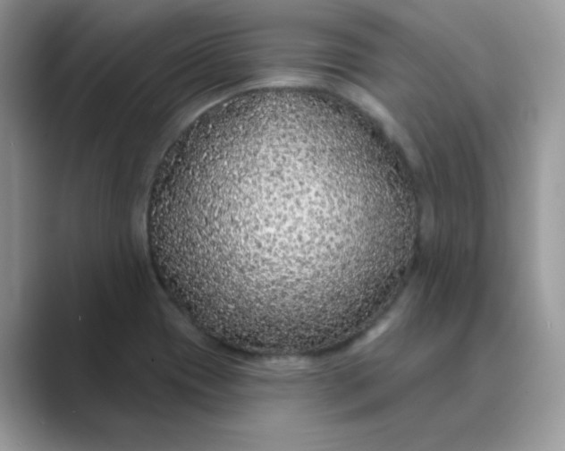 X0000089741417200707051748