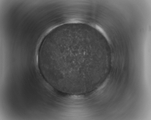 X0000089741419200707051749