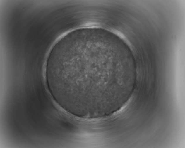 X0000089741421200707051749