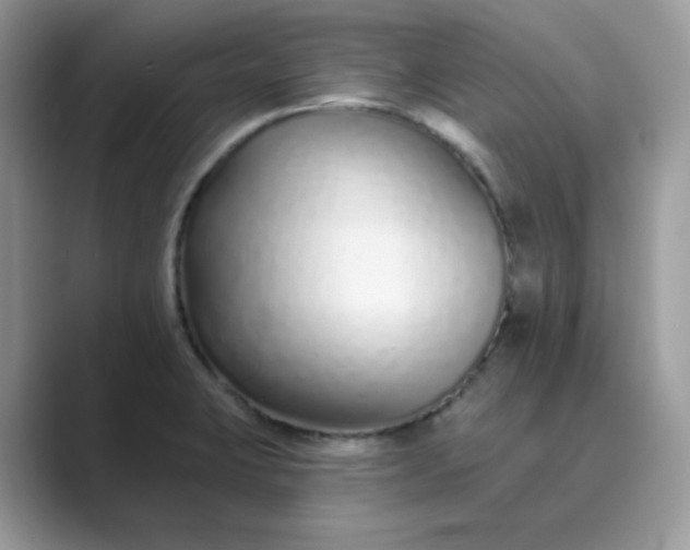 X0000089741423200707051749