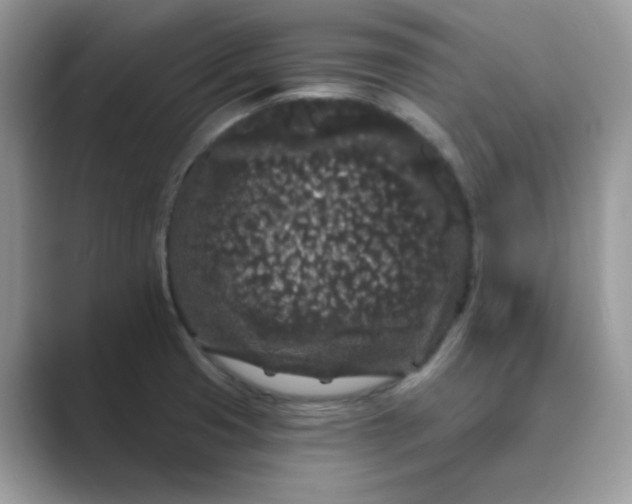 X0000089741425200707051749