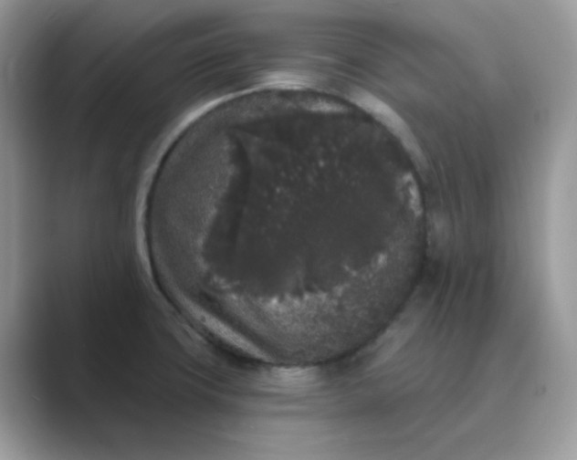 X0000089741427200707051749