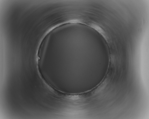 X0000089741428200707051749