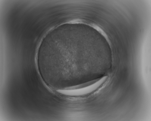 X0000089741429200707051749