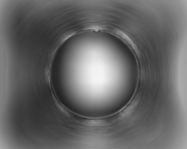 X0000089741433200707051749