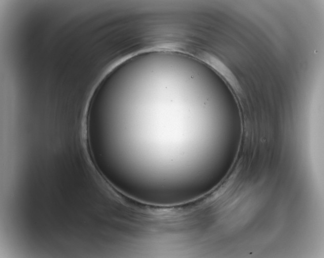 X0000089741436200707051749