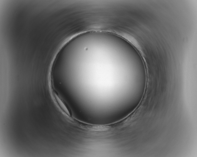 X0000089741440200707051749