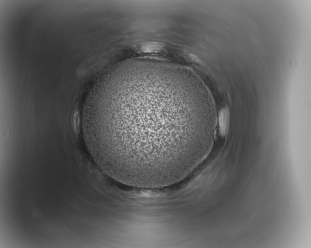 X0000089741443200707051748