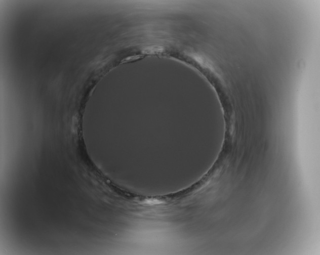 X0000089741445200707051748