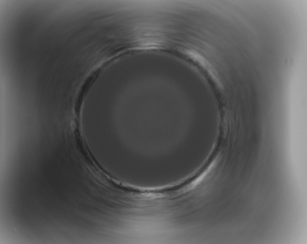 X0000089741449200707051748