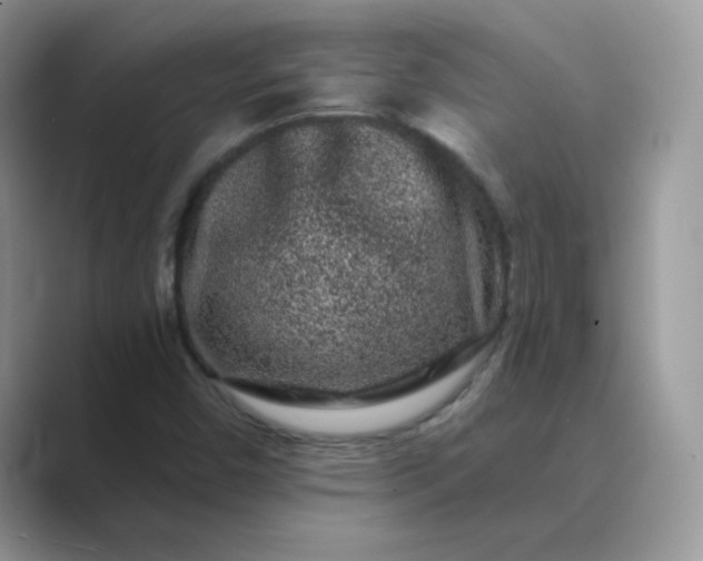 X0000089741450200707051748