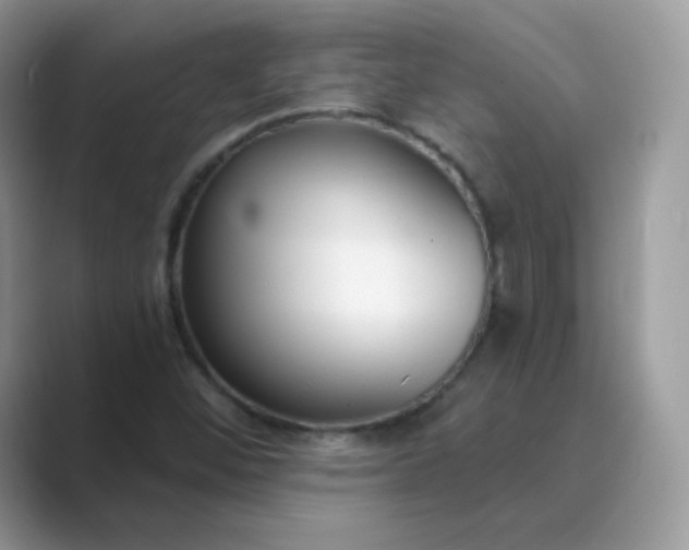 X0000089741452200707051748