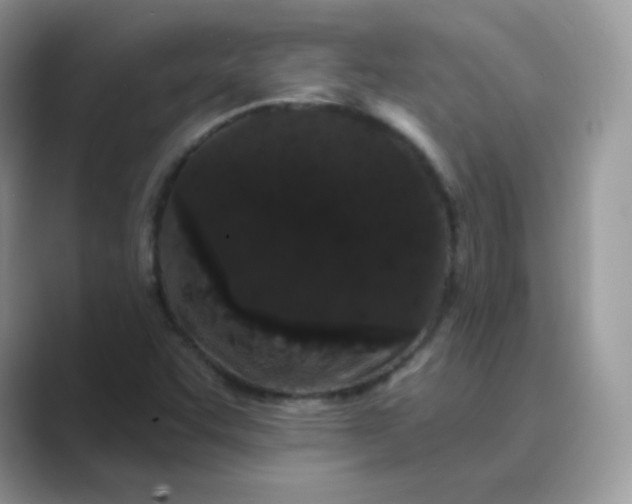 X0000089741455200707051748