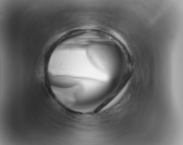 X0000089741456200707051748