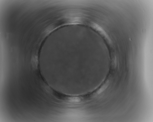 X0000089741457200707051748