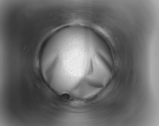 X0000089741462200707051748