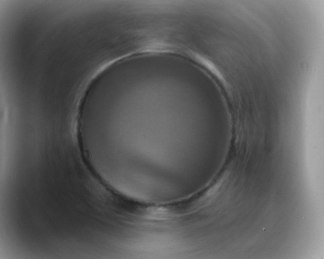 X0000089741463200707051748