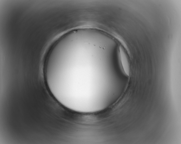 X0000089741464200707051748