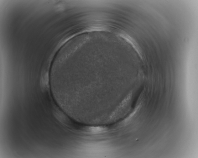 X0000089741465200707051748