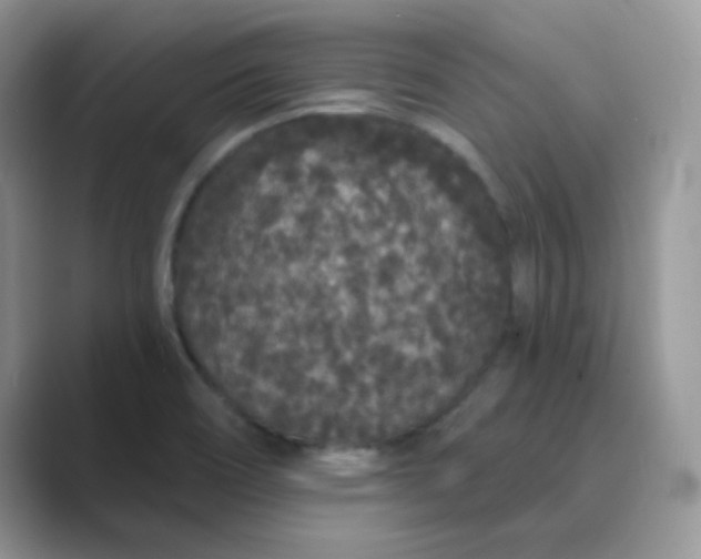 X0000089741466200707051748