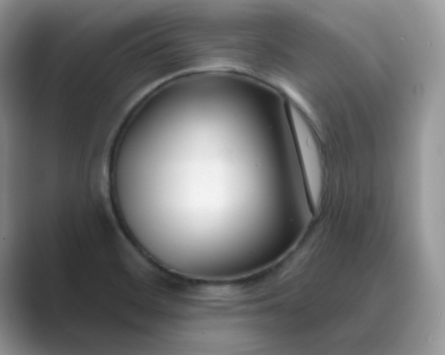 X0000089741468200707051748