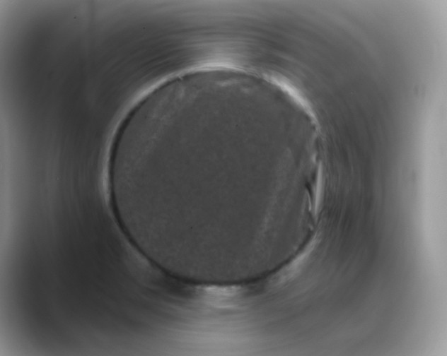 X0000089741469200707051748