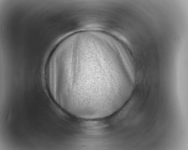 X0000089741470200707051748