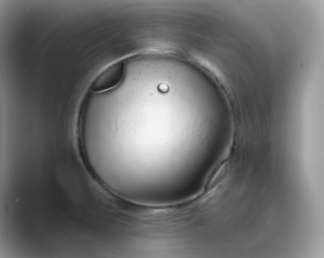 X0000089741471200707051748