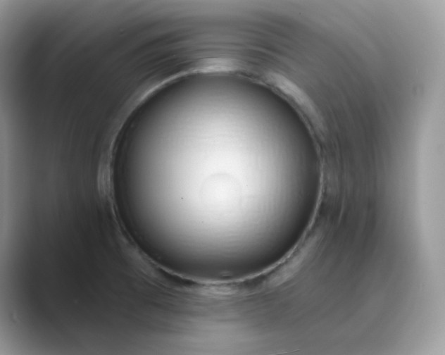 X0000089741473200707051748