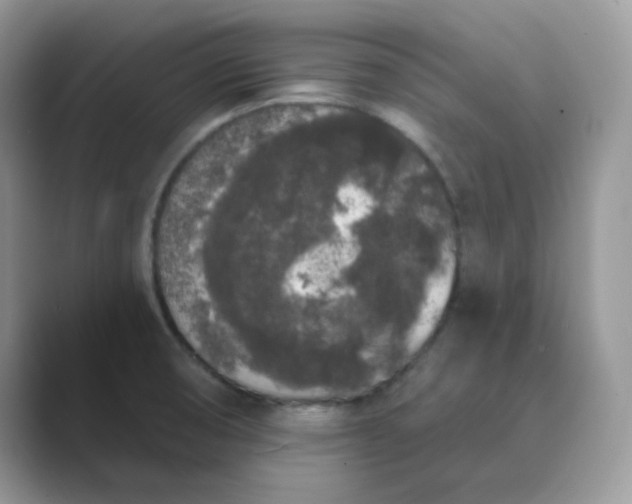 X0000089741474200707051748