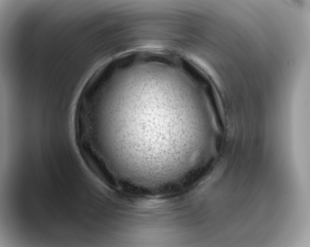 X0000089741475200707051748