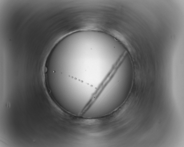 X0000089741479200707051748