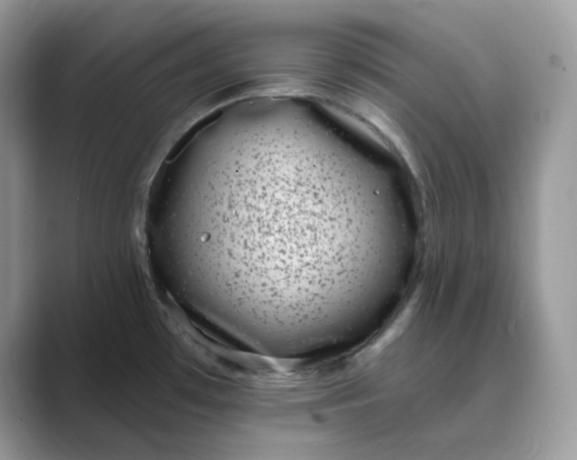 X0000089741481200707051748