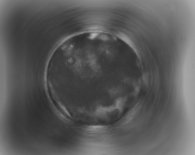 X0000089741482200707051748