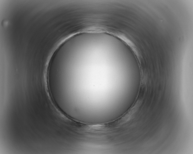 X0000089741486200707051748