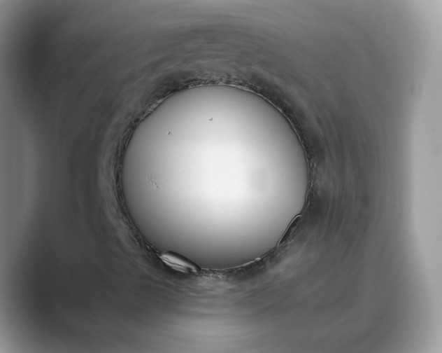 X0000089741489200707051747