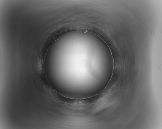 X0000089741490200707051747