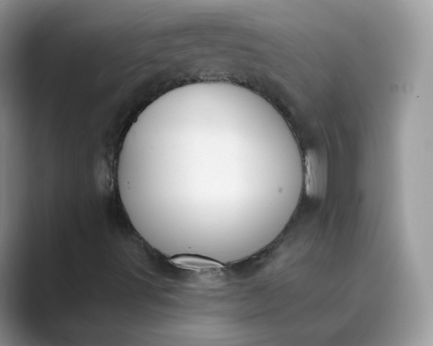 X0000089741491200707051747