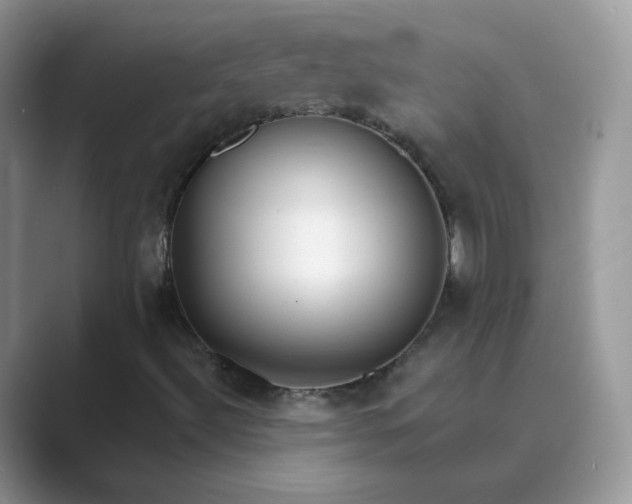 X0000089741492200707051747