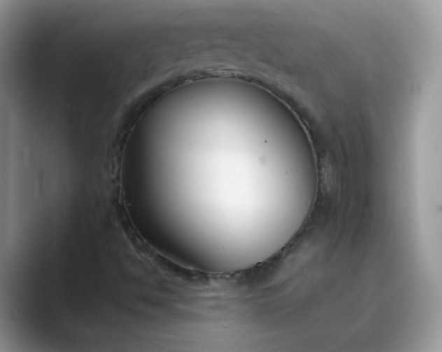 X0000089741494200707051747